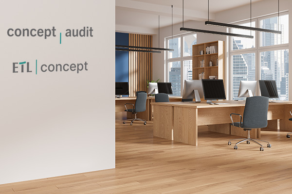 concept audit Steuerberatung